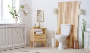 sewage pump for basement toilet